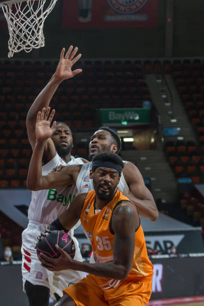 或樊振东参 或樊振东参